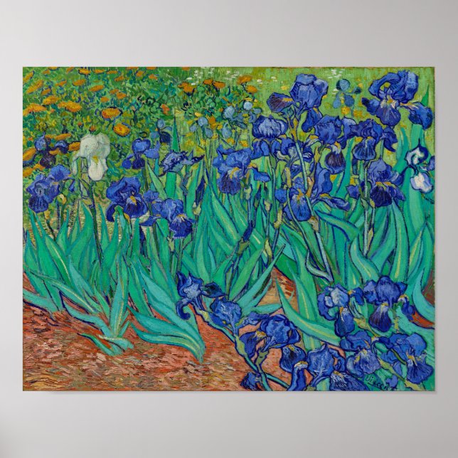 Affiche Van Gogh Irises (Devant)