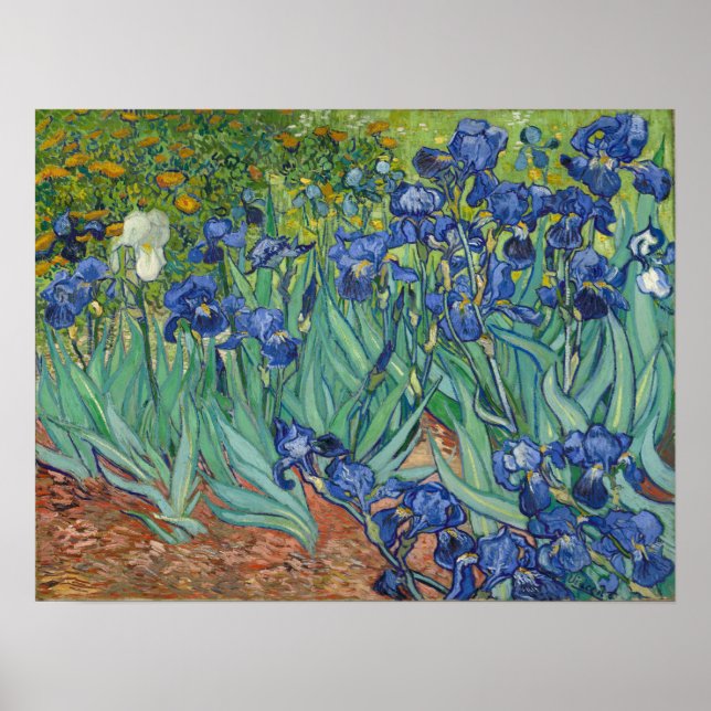 Affiche Van Gogh - Irises (Devant)