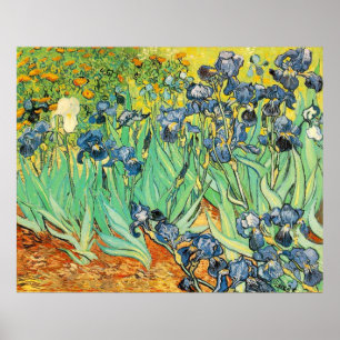 Affiche Van Gogh Irises