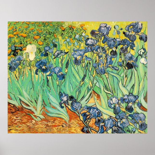 Affiche Van Gogh Irises (Devant)