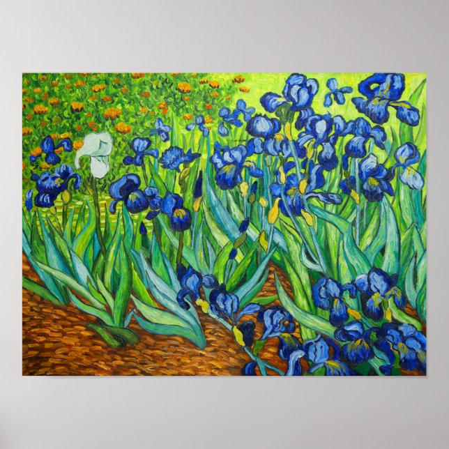 Affiche Van Gogh Irises (Devant)