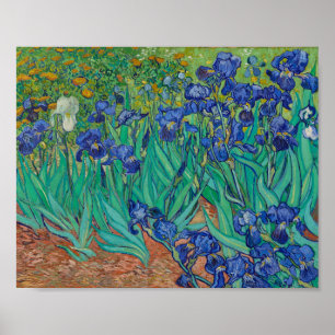 Affiche van Gogh - Irises (1889)