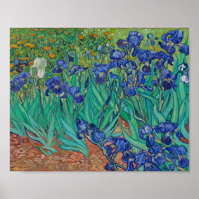 Affiche van Gogh - Irises (1889) (Devant)