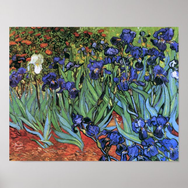 Affiche Van Gogh Irises (F608) Art Vintage (Devant)