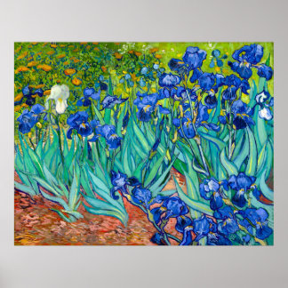Affiche Van Gogh, Irises, Les Iris, 1889