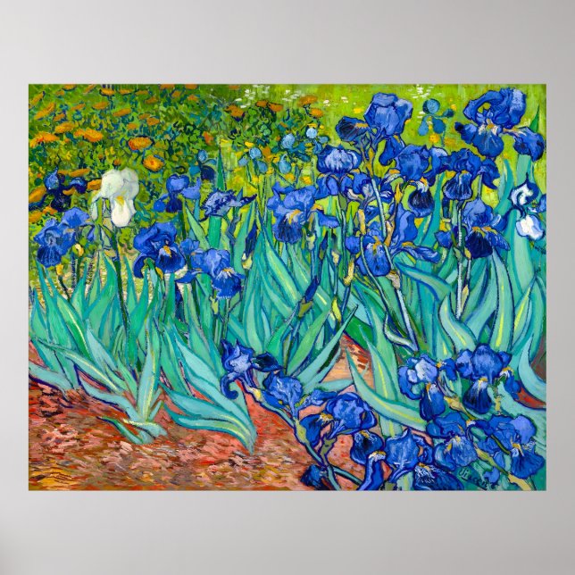 Affiche Van Gogh, Irises, Les Iris, 1889 (Devant)