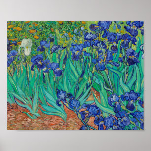 Affiche Van Gogh Irises Peinture