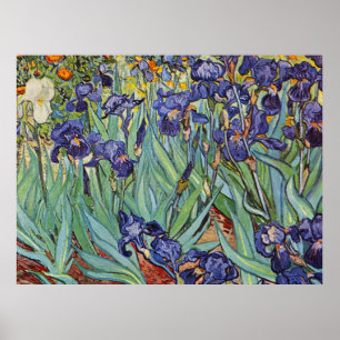 Affiche Van Gogh Irises Peinture impressionniste
