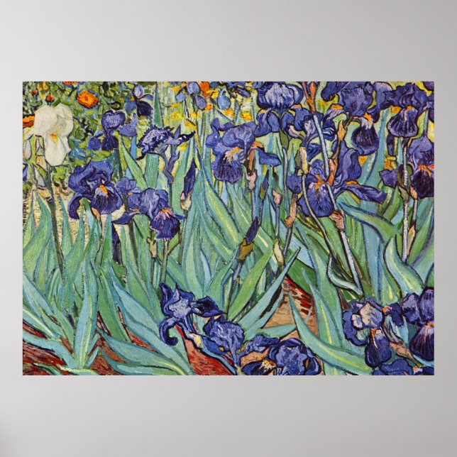 Affiche Van Gogh Irises Peinture impressionniste (Devant)