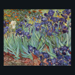 Affiche Van Gogh Irises Peinture impressionniste<br><div class="desc">Vincent Van Gogh Irises à Saint Remy - Irises de Vincent Van Gogh est une magnifique peinture impressionniste réalisée par l'un des maîtres impressionnistes de tous les temps. Le jardin de l'iris tourbillonne de couleur et d'émotion, les iris violets jaillissant de leurs tiges et feuilles bleus et verts. Il y...</div>