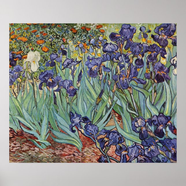 Affiche Van Gogh Irises Peinture impressionniste (Devant)
