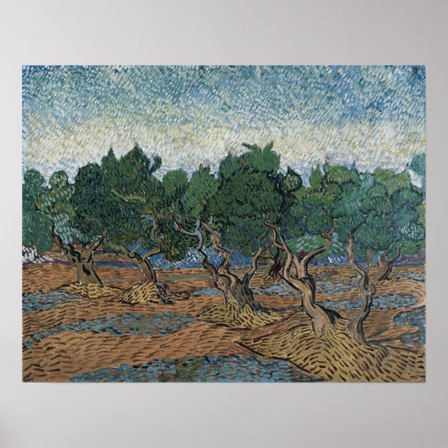 Affiche Van Gogh - Olive Grove (Devant)