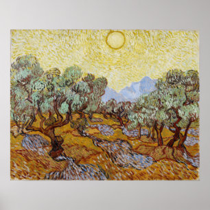 Affiche Van Gogh - Olive Trees