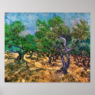 Affiche Van Gogh - Oliveraie