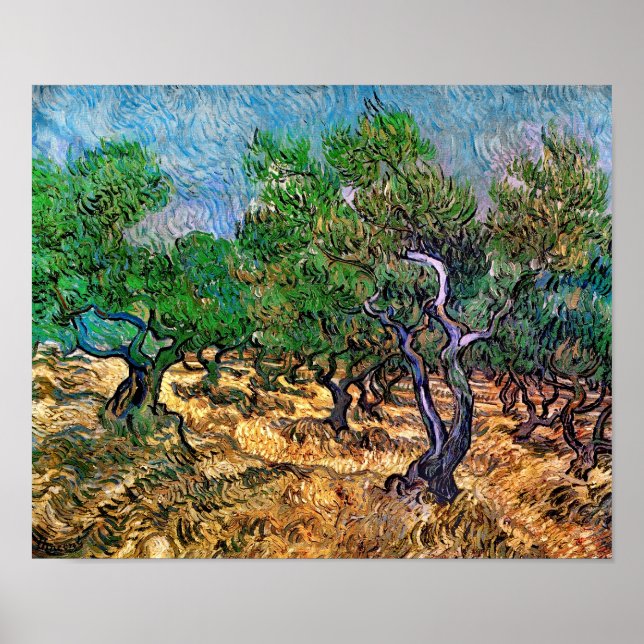 Affiche Van Gogh - Oliveraie (Devant)