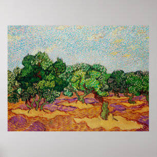 Affiche Van Gogh - Oliviers,