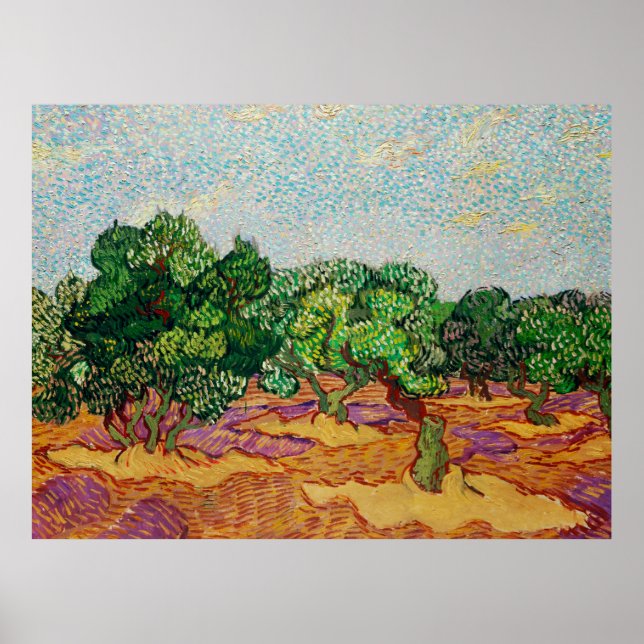 Affiche Van Gogh - Oliviers,  (Devant)