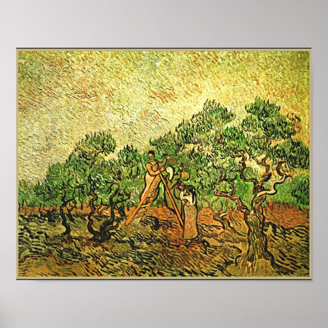 Affiche Van Gogh - Oliviers, peinture d'art, (Devant)