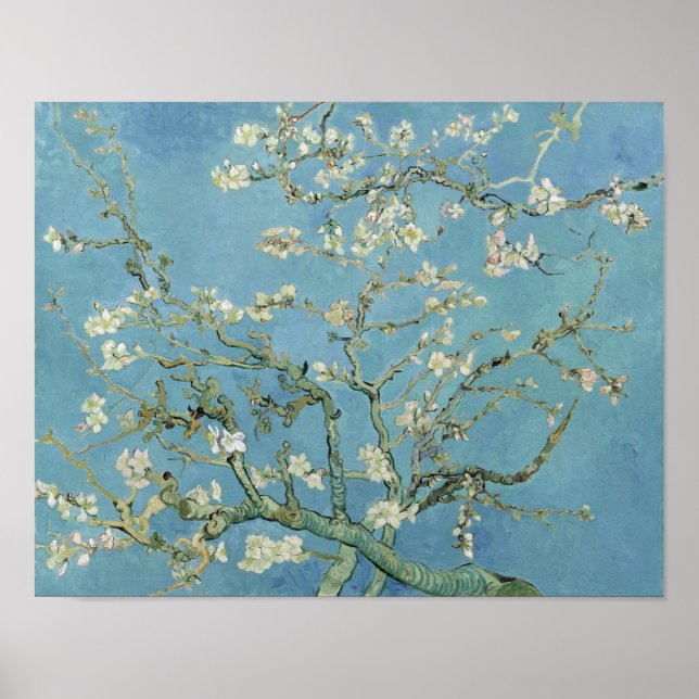 Affiche Van Gogh Painage en fleurs aux amandes (Devant)
