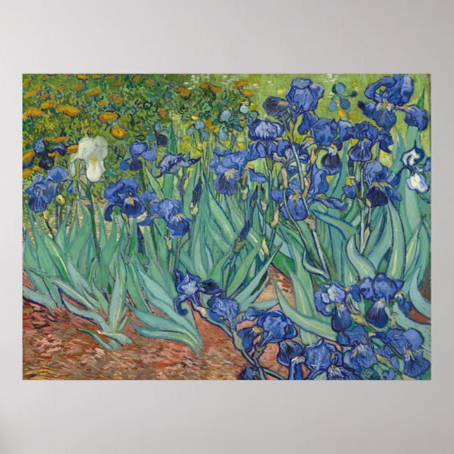 Affiche Van Gogh Peinture classique Irises Floral Botaniqu (Devant)