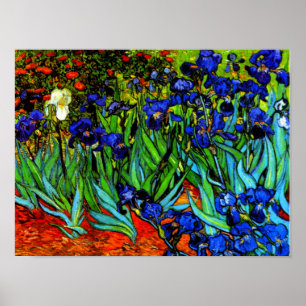 Affiche Van Gogh peinture, Irises,