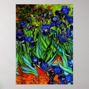 Affiche Van Gogh peinture, Irises,