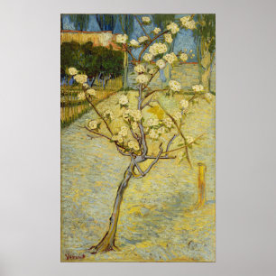 Affiche Van Gogh - Poirier en fleurs