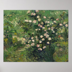 Affiche Van Gogh - Rose