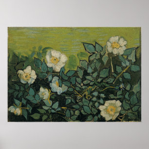 Affiche Van Gogh - Roses sauvages