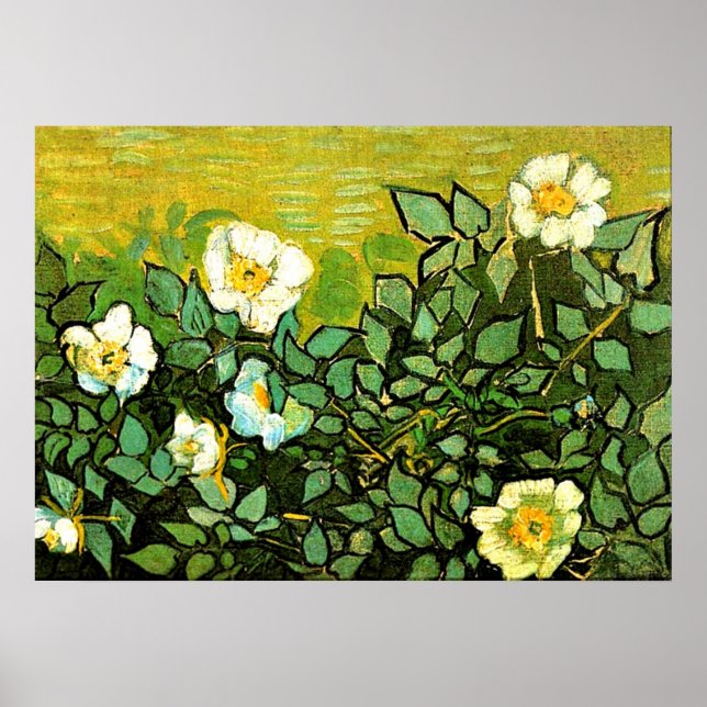 Affiche Van Gogh - Roses sauvages, peinture florale Van Go (Devant)