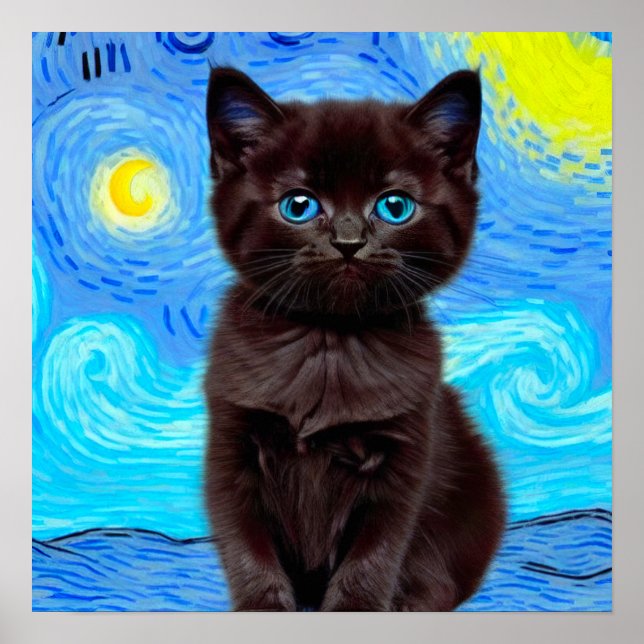 Affiche Van Gogh Starry Night Black Cat (Devant)