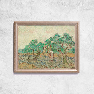 Affiche Van Gogh The Olive Orchard Trees Old Art