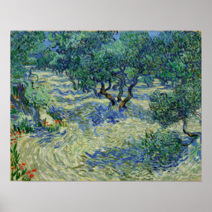 Affiche Van Gogh - Verger d'oliviers