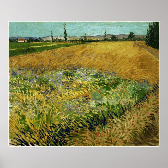 Affiche Van Gogh - Wheatfield (Devant)