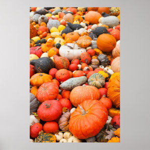 Affiche Variété de courge à vendre, Allemagne