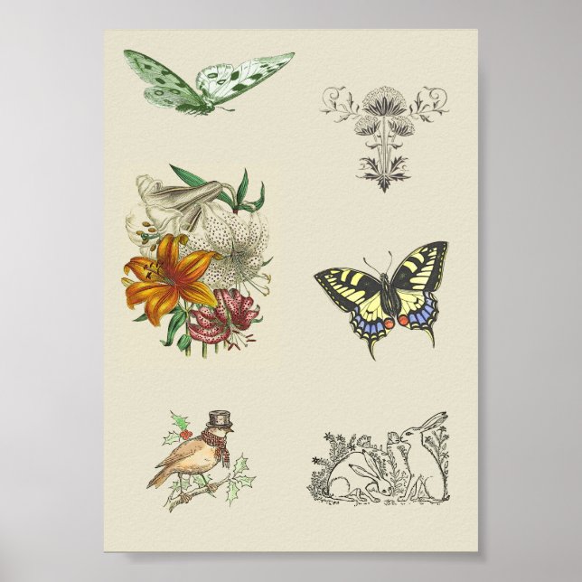 Affiche Variété vintage Images de scrapbooking imprimables (Devant)