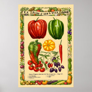Affiche Variétés de Poivrons Rétro Ère Victorienne Art Bot