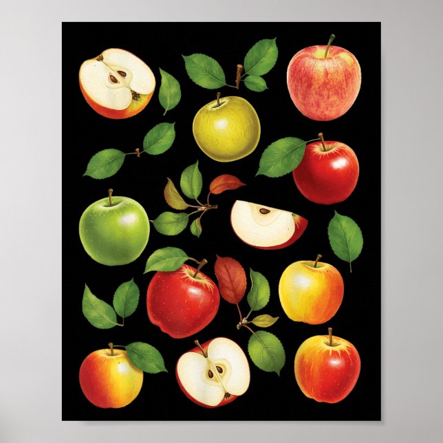 Affiche Variétés de pommes Différentes sortes de cueilleur (Devant)