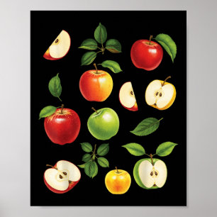 Affiche Variétés de pommes différents types de cueilleurs