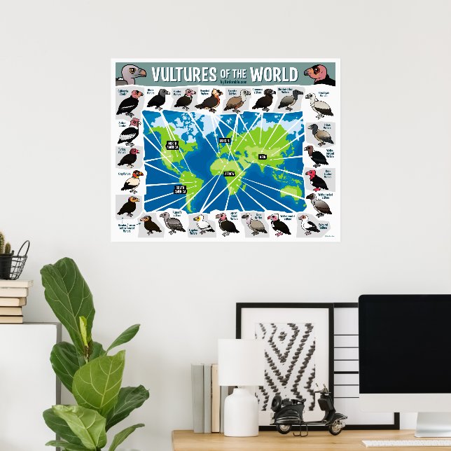 Affiche Vautours de la carte du monde (Bureau à domicile)