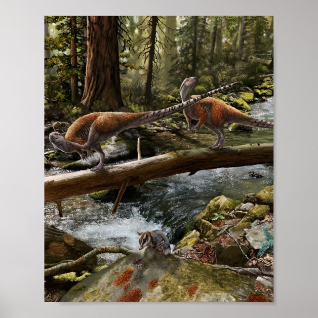 Affiche Vectidromeus Paire d'Impression (Devant)
