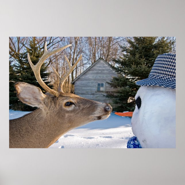 Affiche Végétarien (Devant)