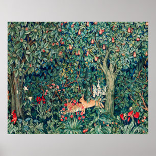 Affiche Végétation,animaux de forêt Lièvres ,Fleur verte F