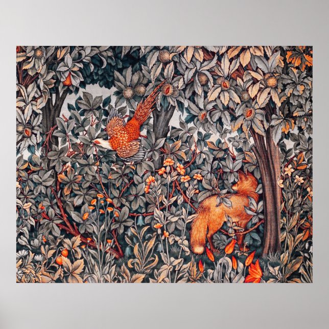 Affiche VÉGÉTATION, ANIMAUX DE LA FORÊT Faisan, Renard Rou (Devant)