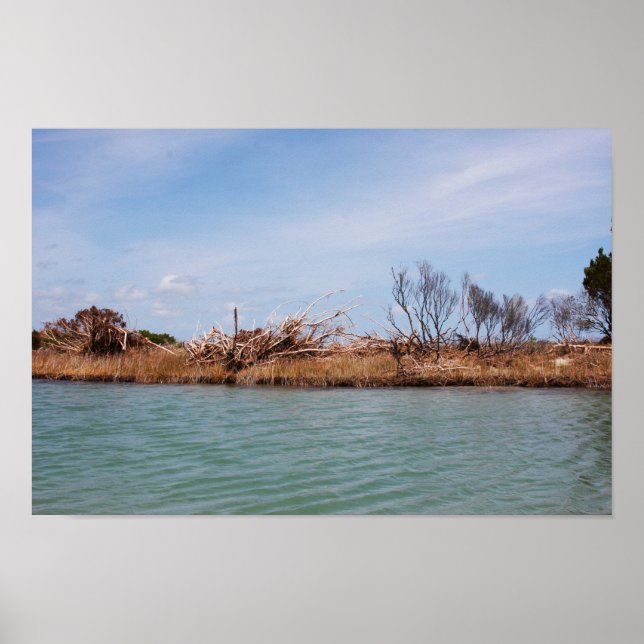 Affiche Végétation de l'île 1 (Devant)