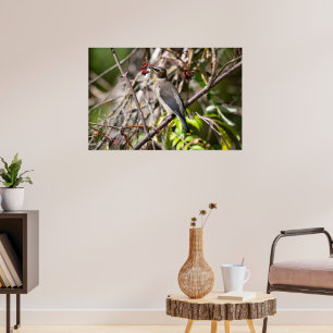 Affiche Vélin de Bohême, Avion canadien