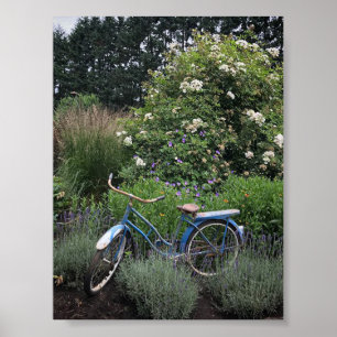 Affiche Vélo vintage dans le jardin