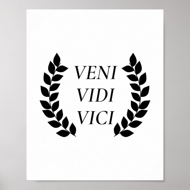 Affiche Veni Vidi Vici (Devant)