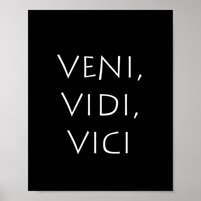 Affiche Veni vidi vici (Devant)