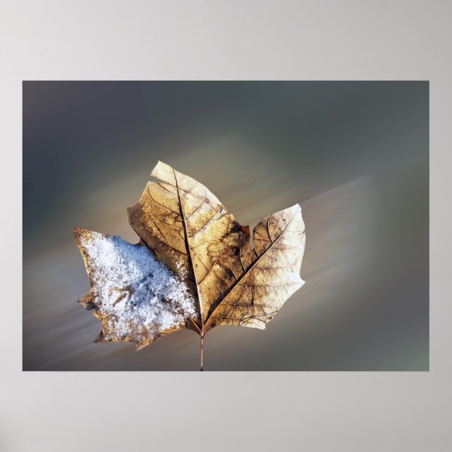 Affiche vent and snow (Devant)